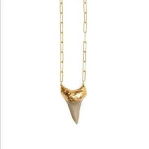 Heather Garner Golden Sunset Shark Tooth Necklace